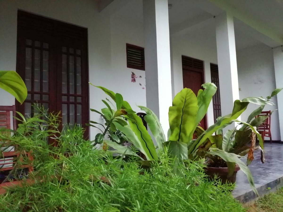 Orchid Villa #10 히카두와 외부 사진