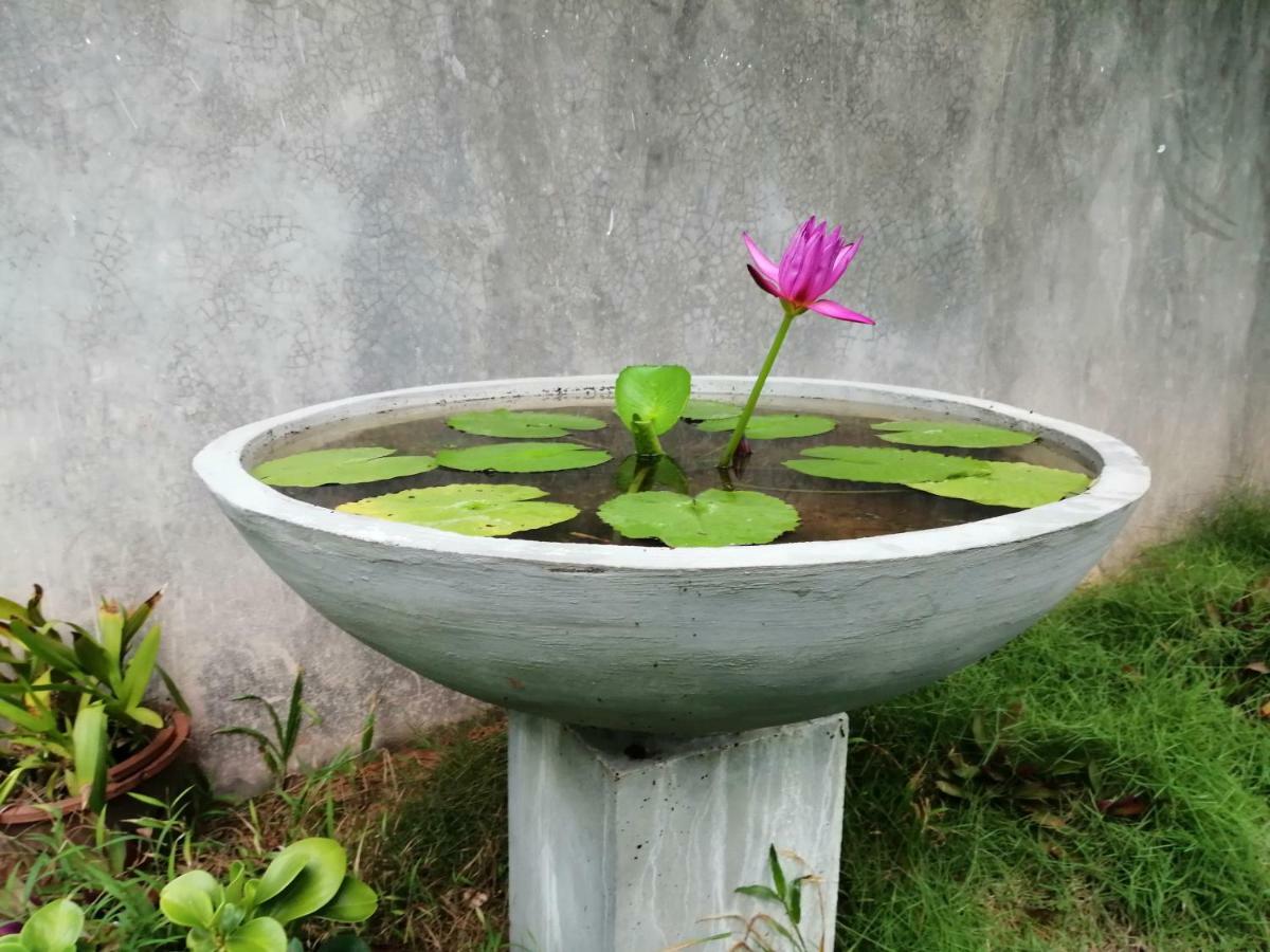 Orchid Villa #10 히카두와 외부 사진